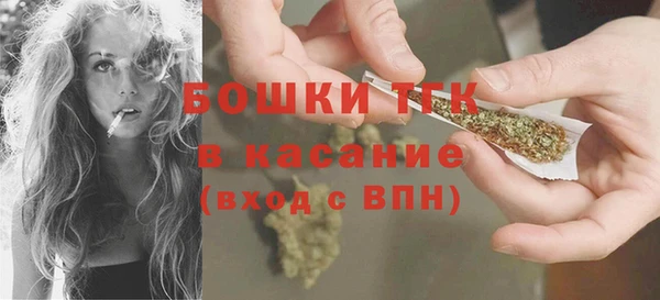 гидропоника Каменка