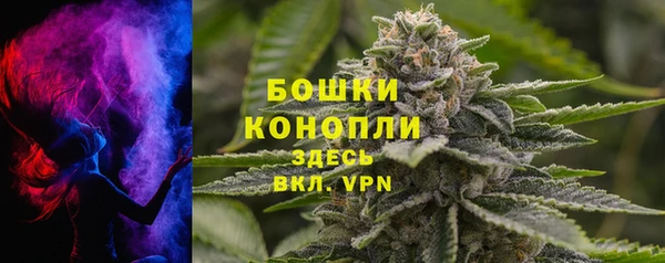 гидропоника Каменка