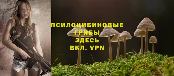 гидропоника Каменка
