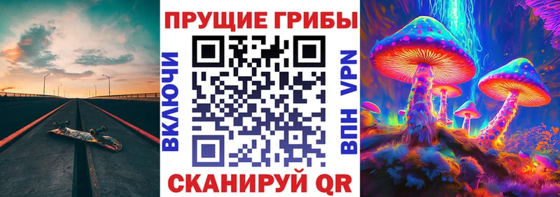Псилоцибиновые грибы мицелий  Приволжский 